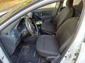 Dacia Sandero Autocarro 1.0 tce  Comfort Eco-g 100cv  GARANTITA Bianco - thumbnail 4
