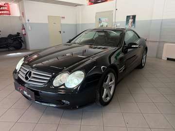 SL 500 cat