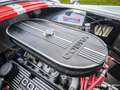 AC Cobra Shelby 427 MK4 Roadster 1965 (Factory Five / V8) Weiß - thumbnail 12