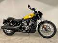Harley-Davidson Sportster RH975S NIGHTSTER SPECIAL Yellow - thumbnail 1