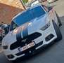 Ford Mustang Mustang 2.3 EcoBoost - thumbnail 11