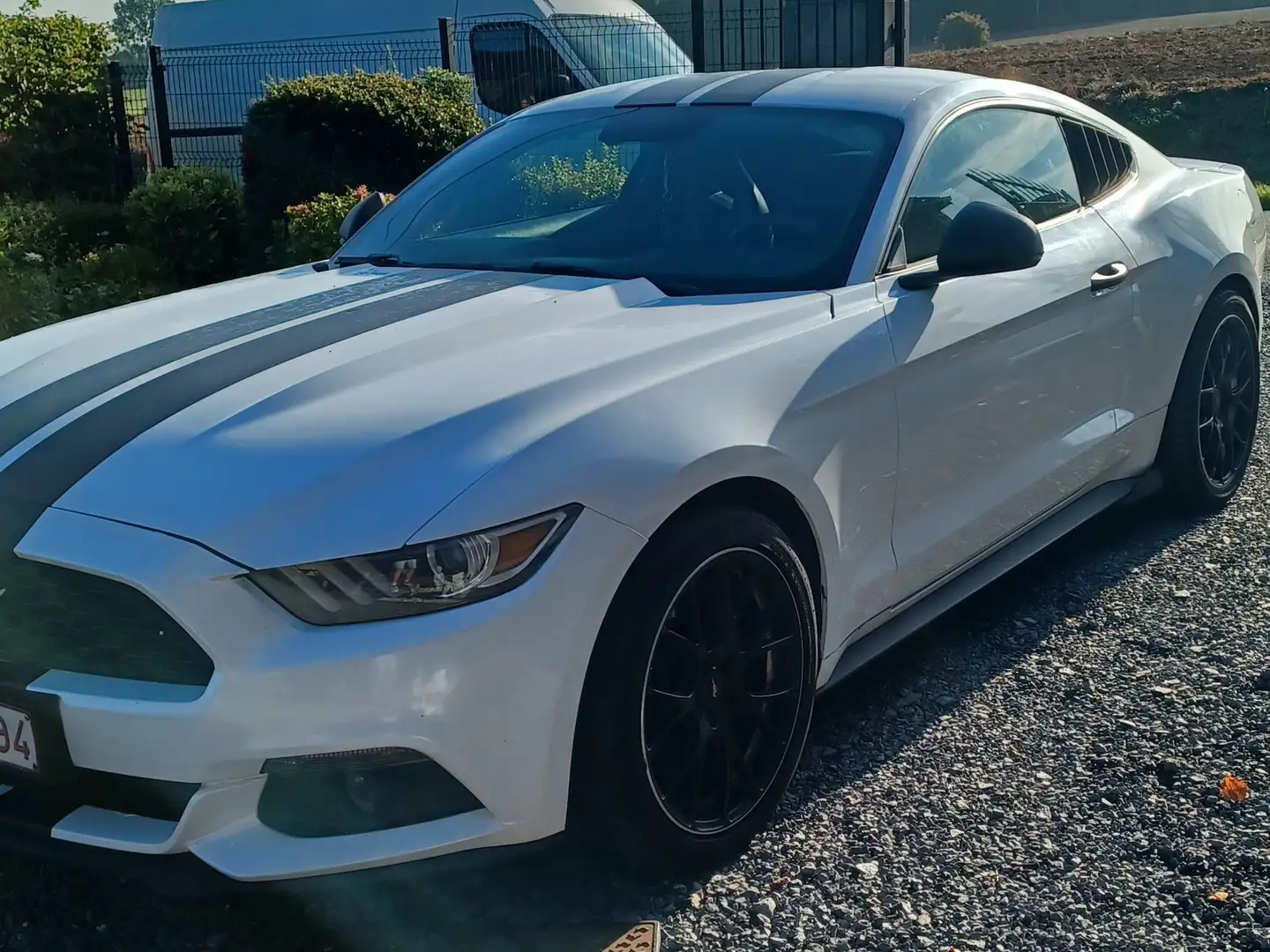 Ford Mustang Mustang 2.3 EcoBoost - 2