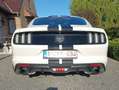 Ford Mustang Mustang 2.3 EcoBoost - thumbnail 3