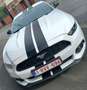 Ford Mustang Mustang 2.3 EcoBoost - thumbnail 10