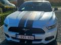 Ford Mustang Mustang 2.3 EcoBoost - thumbnail 1