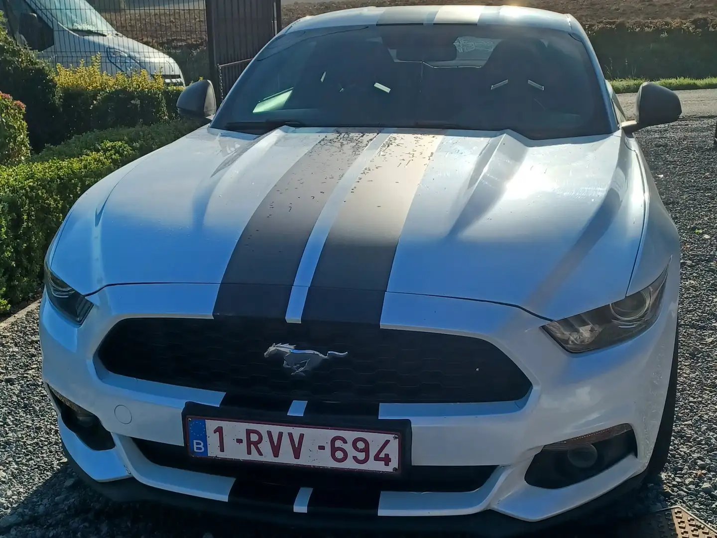 Ford Mustang Mustang 2.3 EcoBoost - 1
