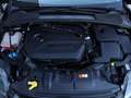 Ford Focus 1.6 EcoBoost 182pk Titanium *Sony-audio*Stoelverw. Schwarz - thumbnail 13