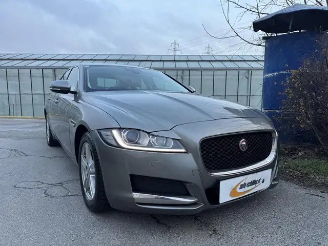 Jaguar XF Performance Leder Kamera Navi SR&WR Service Neu