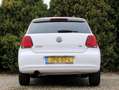 Volkswagen Polo 1.2 TSI BlueMotion*Ecc*Cruise*Pdc* Blanc - thumbnail 6
