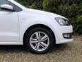 Volkswagen Polo 1.2 TSI BlueMotion*Ecc*Cruise*Pdc* Blanc - thumbnail 16