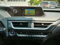 Lexus UX 250h UX Hybrid Business Gris - thumbnail 11