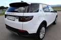 Land Rover Discovery Sport D150 4WD Aut. SE *Leder*Navigation*LED* Weiß - thumbnail 4