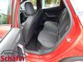 SEAT Ibiza FR Rot - thumbnail 12