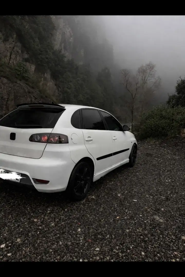 SEAT Ibiza 1.4TDI Ecomotive - 1