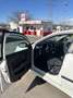 SEAT Ibiza 1.4TDI Ecomotive - thumbnail 4