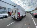 Fiat Ducato Ducato 290 CNG E6 35 LH2 3.0 CNG 136cv FRIGO Bianco - thumbnail 9