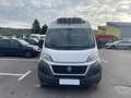 Fiat Ducato Ducato 290 CNG E6 35 LH2 3.0 CNG 136cv FRIGO Bianco - thumbnail 3