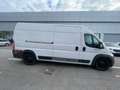 Fiat Ducato Ducato 290 CNG E6 35 LH2 3.0 CNG 136cv FRIGO Bianco - thumbnail 5