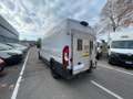 Fiat Ducato Ducato 290 CNG E6 35 LH2 3.0 CNG 136cv FRIGO Bianco - thumbnail 7