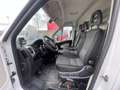 Fiat Ducato Ducato 290 CNG E6 35 LH2 3.0 CNG 136cv FRIGO Bianco - thumbnail 13