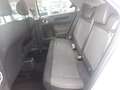 Citroen C4 Cactus PURETECH 82CH LIVE Grau - thumbnail 7