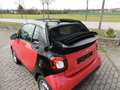 smart forTwo Cabrio Basis 52 kw Sitzheizung Schwarz - thumbnail 9