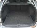 Skoda Octavia 2.0 TDI DPF Ambition (EURO 6d) Silber - thumbnail 10