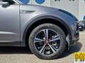 Jaguar F-Pace 2.0d i4 R-Sport 163cv my20 Grigio - thumbnail 4