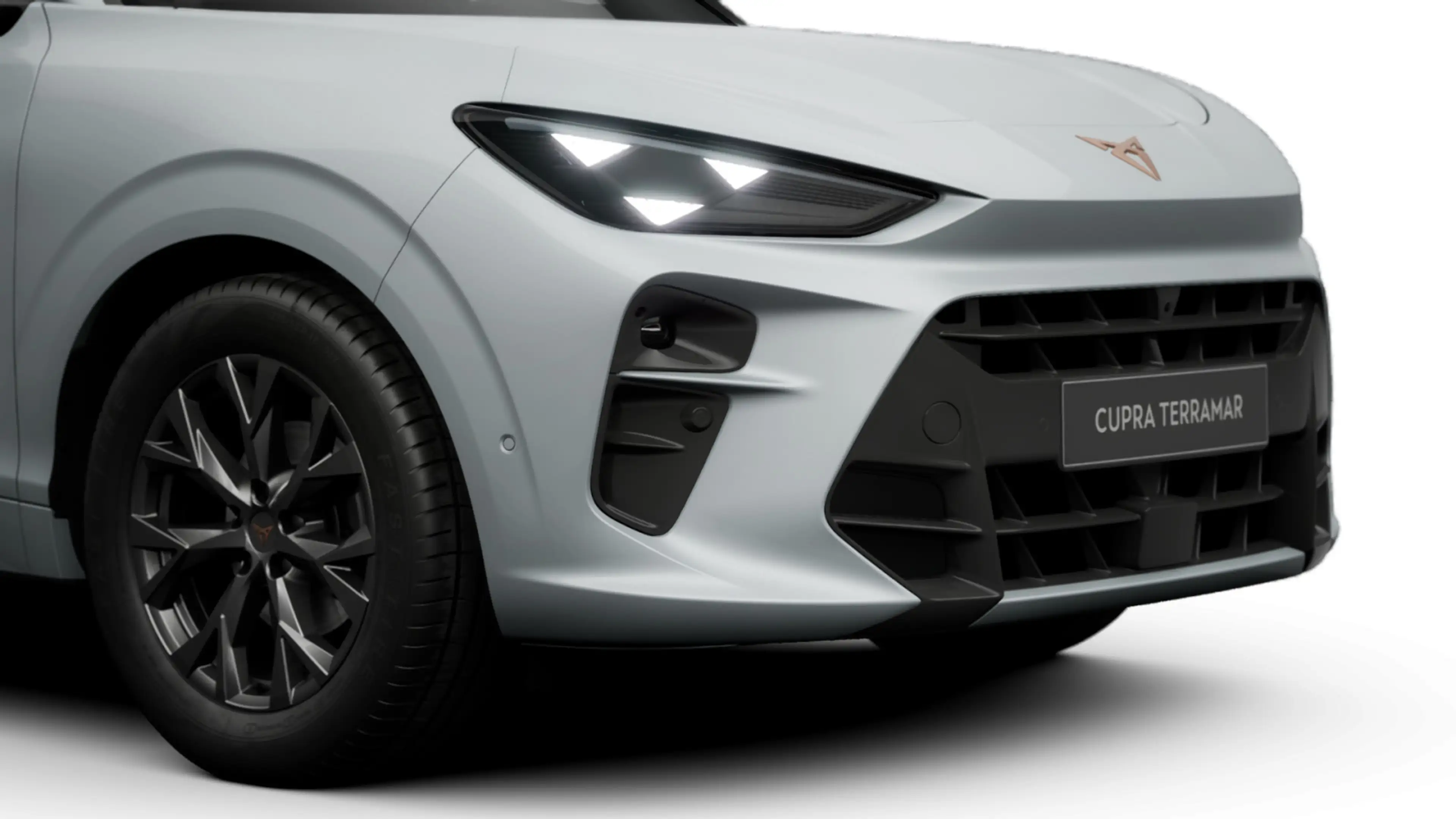 CUPRA Terramar 1.5 eTSI 110 kW *AHK*NAVI*BussinesPak*D — photo 7
