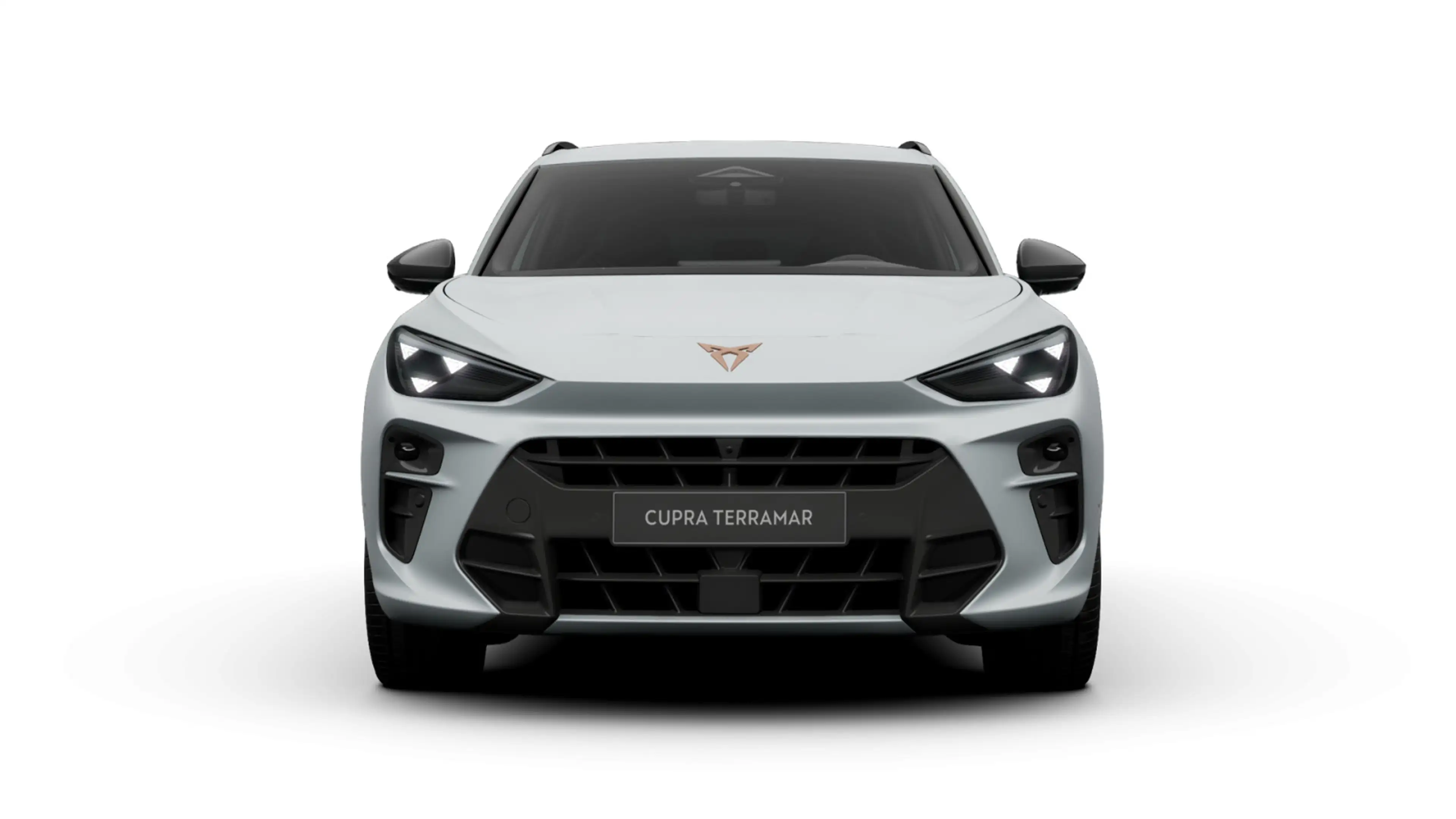 CUPRA Terramar 1.5 eTSI 110 kW *AHK*NAVI*BussinesPak*D — photo 2