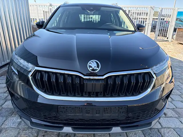 Skoda Kamiq view 2