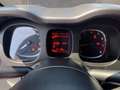 Fiat Panda 1.0 firefly hybrid Sport s&s 70cv 5p.ti Grigio - thumbnail 9