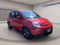 Fiat Panda 1.0 firefly hybrid Sport s&s 70cv 5p.ti Grigio - thumbnail 7