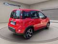 Fiat Panda 1.0 firefly hybrid Sport s&s 70cv 5p.ti Grigio - thumbnail 4