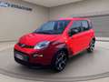 Fiat Panda 1.0 firefly hybrid Sport s&s 70cv 5p.ti Grigio - thumbnail 1