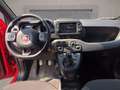 Fiat Panda 1.0 firefly hybrid Sport s&s 70cv 5p.ti Grigio - thumbnail 6