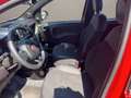 Fiat Panda 1.0 firefly hybrid Sport s&s 70cv 5p.ti Grigio - thumbnail 12