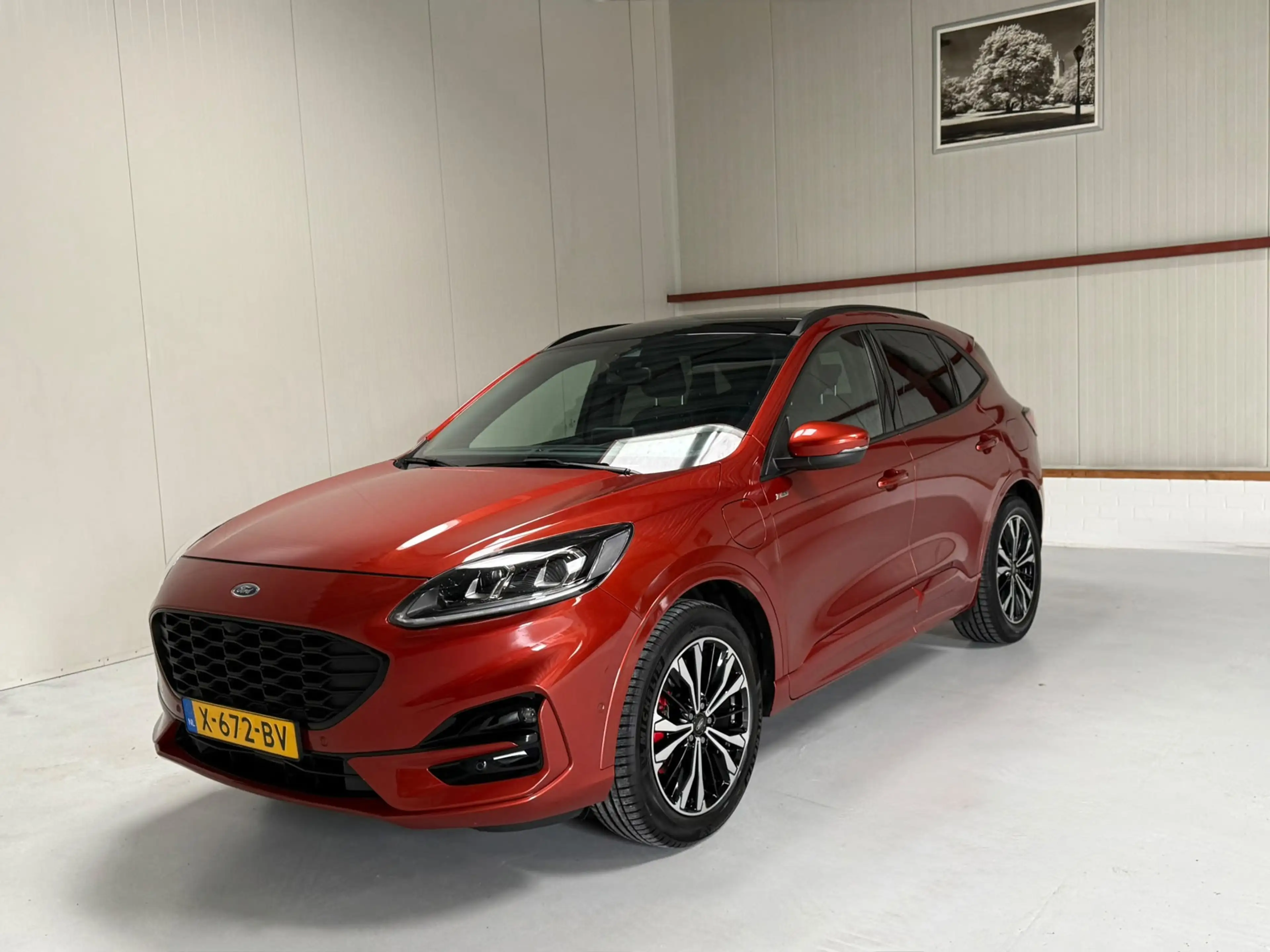 Ford Kuga 2.5 PHEV Vignale — photo 7