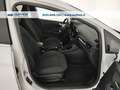 Ford Fiesta 5p 1.5 ecoblue Titanium 85cv s&s my20.25 Bianco - thumbnail 18