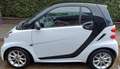 smart forTwo smart fortwo coupe softouch edition iceshine micro Weiß - thumbnail 1