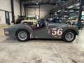 Triumph TR3 2.0 100 Gris - thumbnail 9