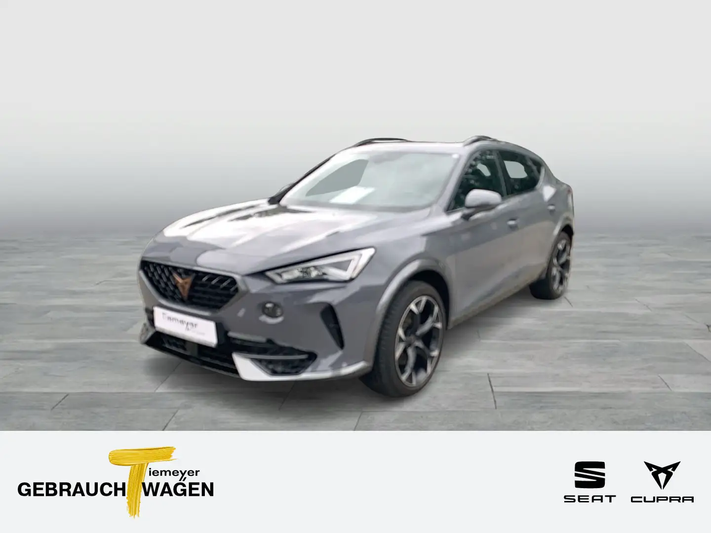 CUPRA Formentor 1.5 TSI PANO 360 LED LM19 Gris - 1