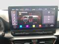 CUPRA Formentor 1.5 TSI PANO 360 LED LM19 Gris - thumbnail 14
