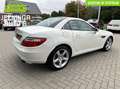 Mercedes-Benz SLK SLK-klasse|Airscarf|Navi|Leer|UniekeKMstand|Harman Wit - thumbnail 7
