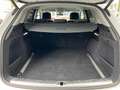 Audi Q5 40TDI  QUATTRO AHK MATRIX STANDHEIZ 360 ACC Weiß - thumbnail 19