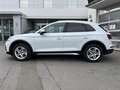 Audi Q5 40TDI  QUATTRO AHK MATRIX STANDHEIZ 360 ACC Weiß - thumbnail 4