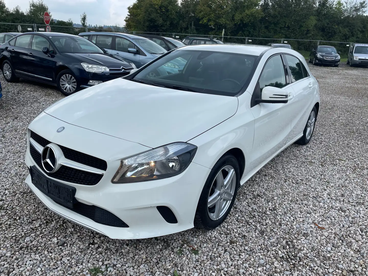 Mercedes-Benz A 200 CDI BlueEfficiency NEU PICKERL 11/2024+4MONAT Weiß - 1