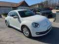 Volkswagen Beetle 1.2 TSI AppleCarplay/sensorenV+A/cruisecontrol/… Weiß - thumbnail 5