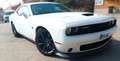 Dodge Challenger Challenger R/T Scat Pack 6.4 HEMI V8 R/T Scat Pack Blanco - thumbnail 1
