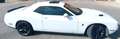 Dodge Challenger Challenger R/T Scat Pack 6.4 HEMI V8 R/T Scat Pack Blanco - thumbnail 6